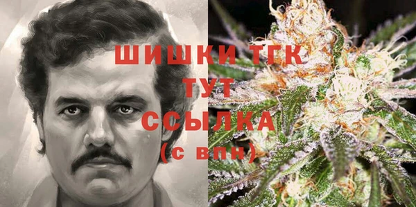 спайс Алзамай