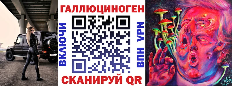 цена   Новоаннинский  Псилоцибиновые грибы GOLDEN TEACHER 